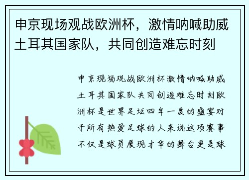 申京现场观战欧洲杯，激情呐喊助威土耳其国家队，共同创造难忘时刻