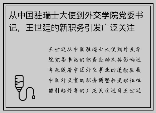 从中国驻瑞士大使到外交学院党委书记，王世廷的新职务引发广泛关注